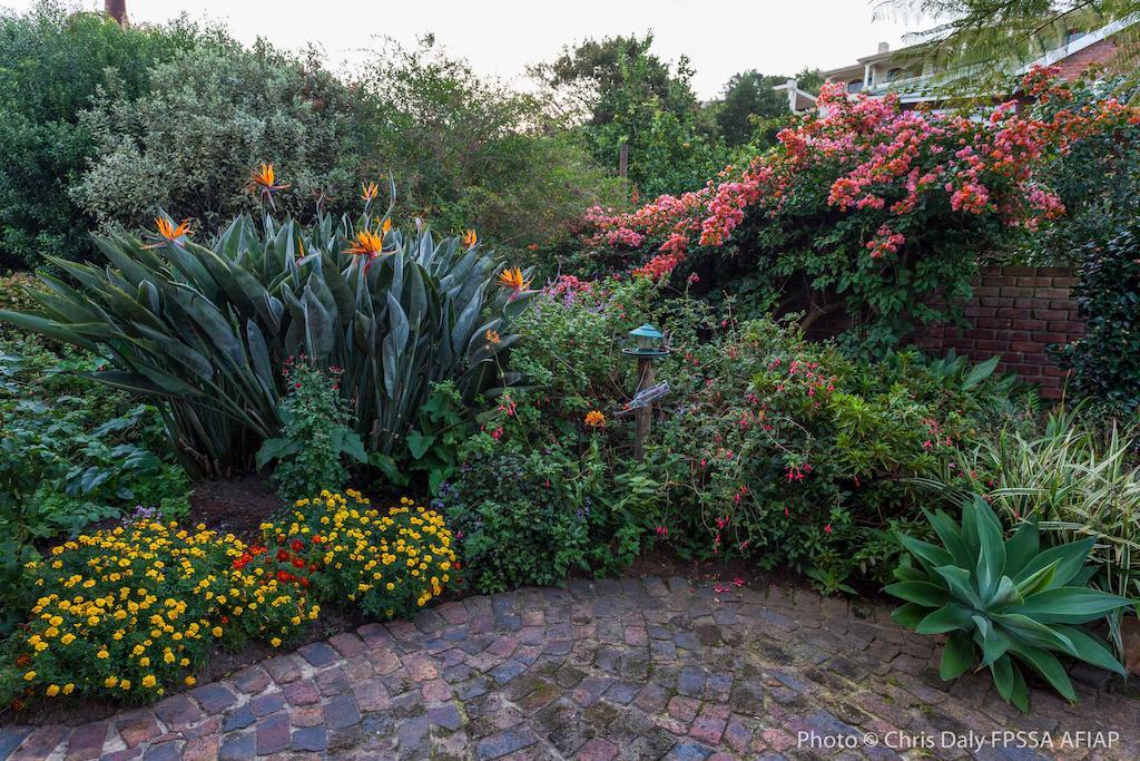 Paradise Found pensión Knysna Exterior foto